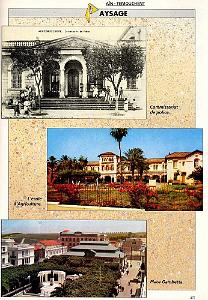 AIN TEMOUCHENT 016